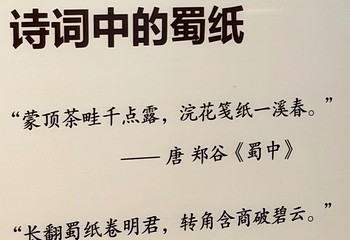 成都博物馆第 212 张图片