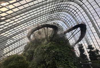 新加坡滨海湾花园第 132 张图片