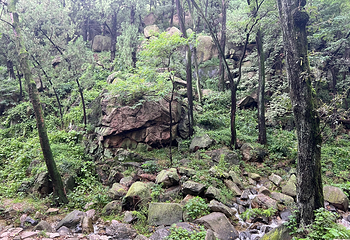 泰山风景区第 322 张图片