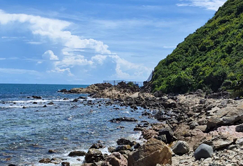 小东海第 33 张图片