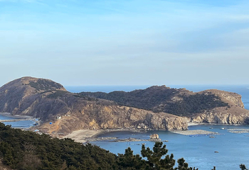 老铁山黄渤海分界线第 31 张图片