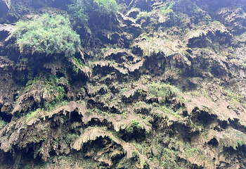 马岭河峡谷景区第 123 张图片