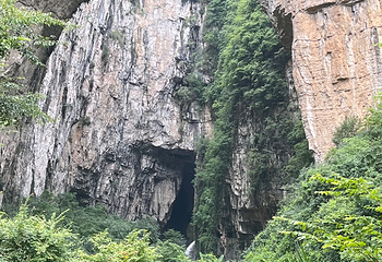 织金洞第 195 张图片