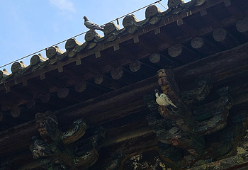 白马寺第 76 张图片