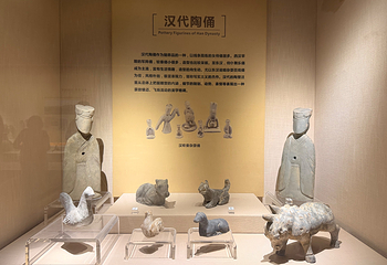 宁夏博物馆第 49 张图片