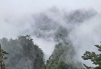 老君山景区第 292 张图片