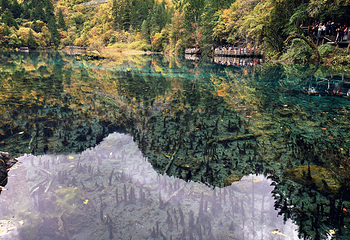 九寨沟风景区第 595 张图片