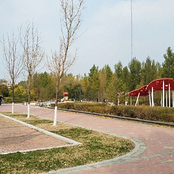 安达市森林公园