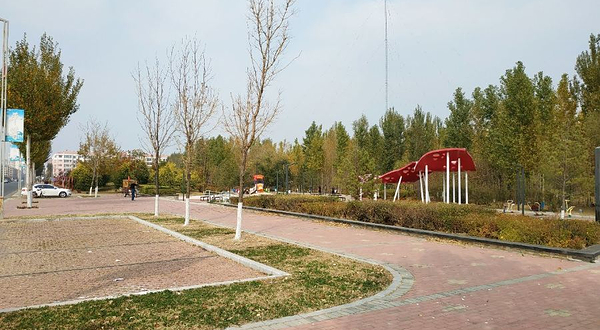 安达市森林公园