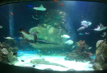 奥兰多海洋生物水族馆第 20 张图片