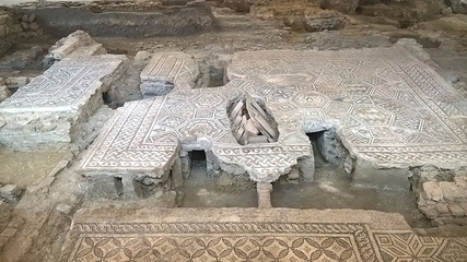 Domus del Chirurgo第 10 张图片