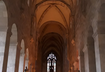 Cistercian Abbey of Heiligenkreuz第 13 张图片
