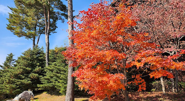 伯奇希尔高尔夫场