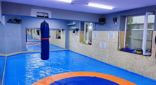 FZ Sport/ Бокс, кикбоксинг