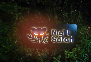 夜间野生动物园第 41 张图片