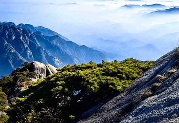 黄山风景区第 226 张图片