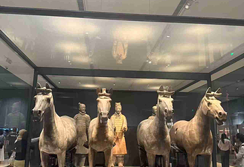秦始皇帝陵博物院(兵马俑)第 510 张图片