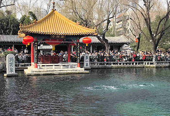 趵突泉景区第 73 张图片