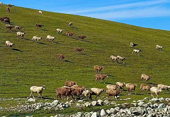 那拉提旅游风景区第 98 张图片