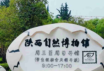 陕西自然博物馆第 45 张图片