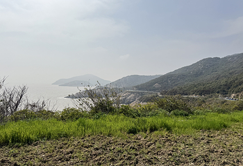 朱家尖大青山景区第 22 张图片