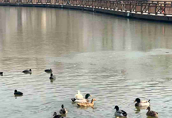 西安浐灞国家湿地公园第 52 张图片