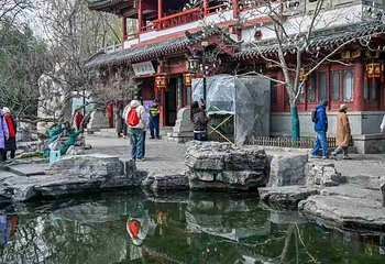 趵突泉景区第 221 张图片