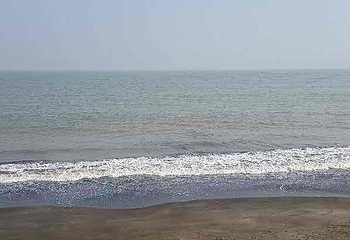 黑沙海滩第 35 张图片