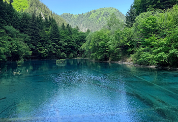 九寨沟风景区第 448 张图片