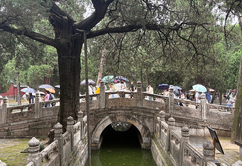孔庙第 45 张图片
