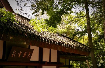灵隐飞来峰景区第 129 张图片