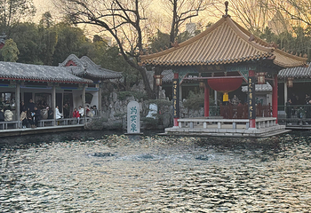 趵突泉景区第 107 张图片