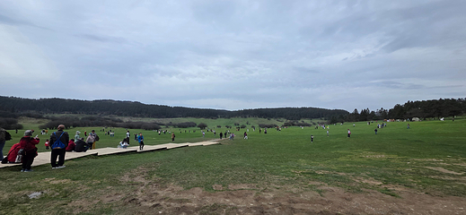 仙女山国家森林公园第 95 张图片
