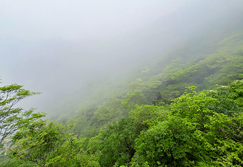 黄山风景区第 248 张图片
