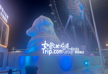 哈尔滨冰雪大世界第 542 张图片