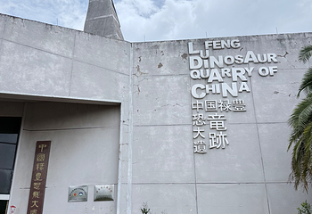 世界恐龙谷第 70 张图片