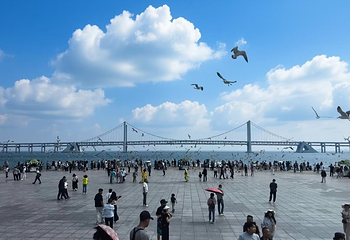 星海广场第 27 张图片