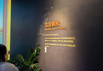 雄安印象第 18 张图片