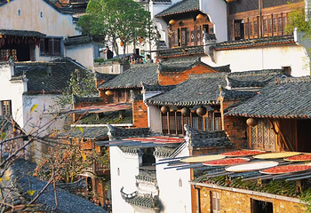 婺源篁岭景区第 109 张图片