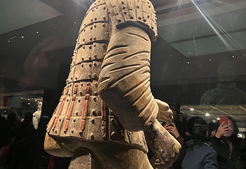 秦始皇帝陵博物院(兵马俑)第 490 张图片