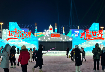 哈尔滨冰雪大世界第 364 张图片