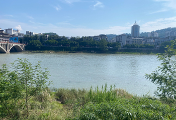 蒙顶山第 154 张图片