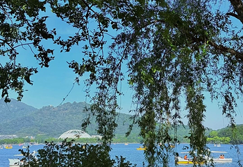 玄武湖景区第 160 张图片