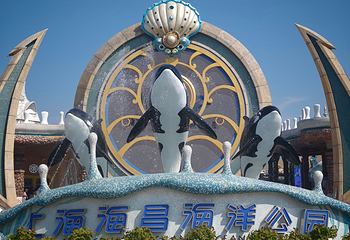 上海海昌海洋公园第 196 张图片