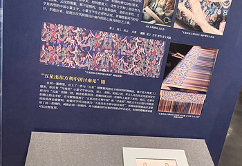 新疆维吾尔自治区博物馆第 61 张图片