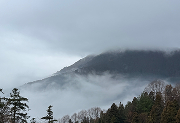 南岳衡山风景名胜区第 142 张图片
