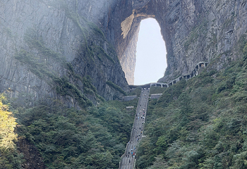 天门山国家森林公园第 542 张图片