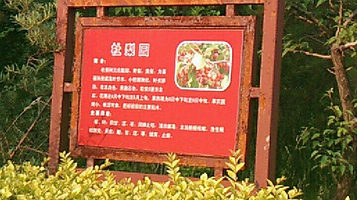 古城公园-杜梨园