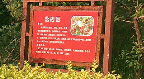 古城公园-杜梨园