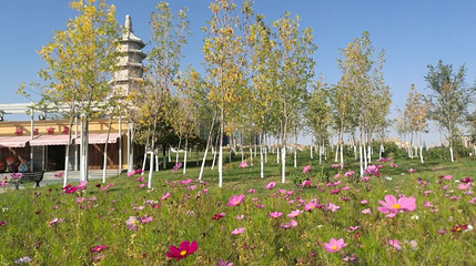 滨湖河中央公园第 1 张图片